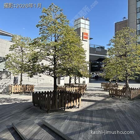 眺望(1階22.77坪)