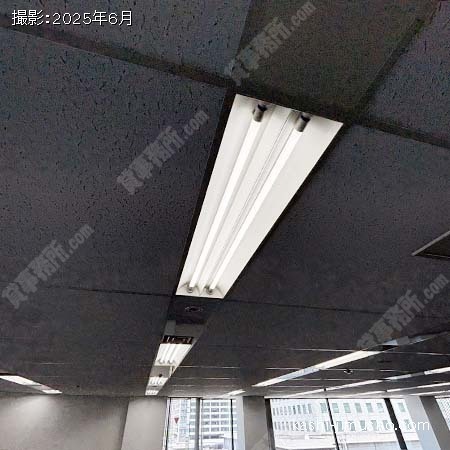 照明