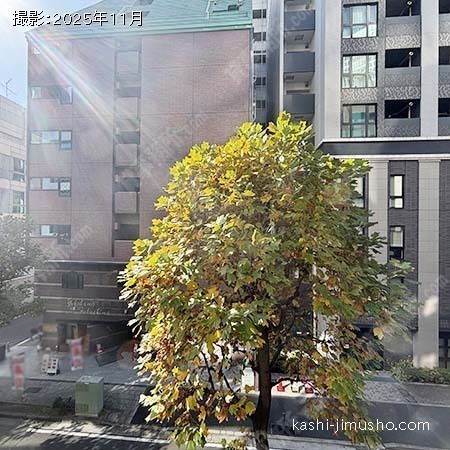 眺望(3階301号室) 眺望(3階301号室)