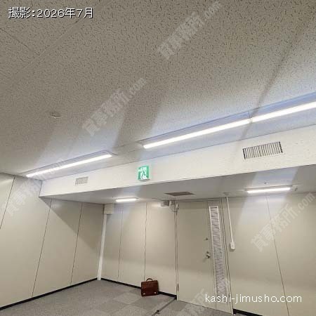 照明 照明