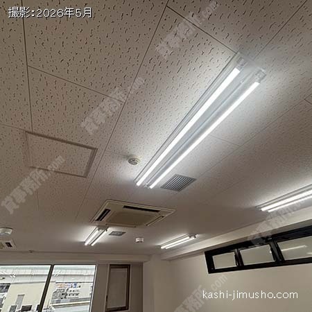 照明 照明