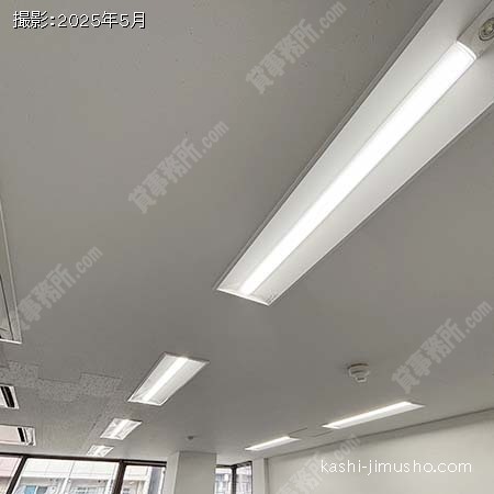照明