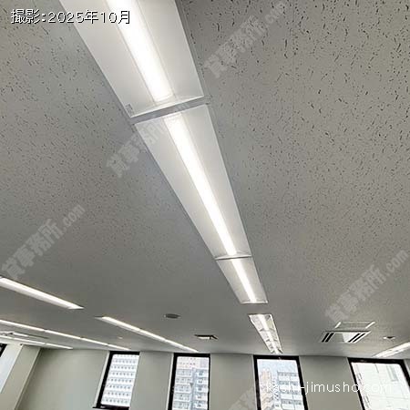 照明