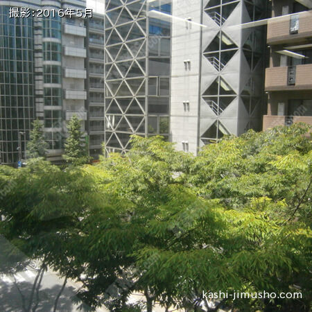 4F44.9坪貸室内窓からの景色②