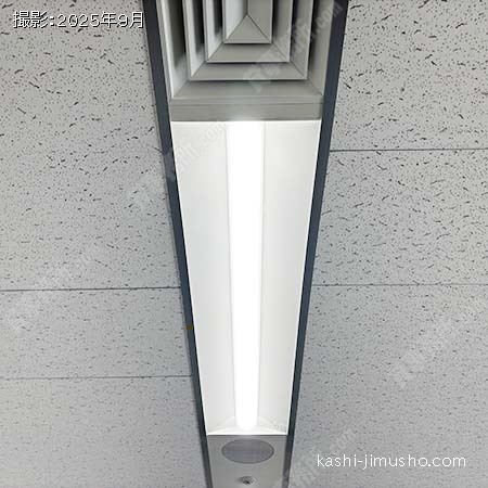 照明