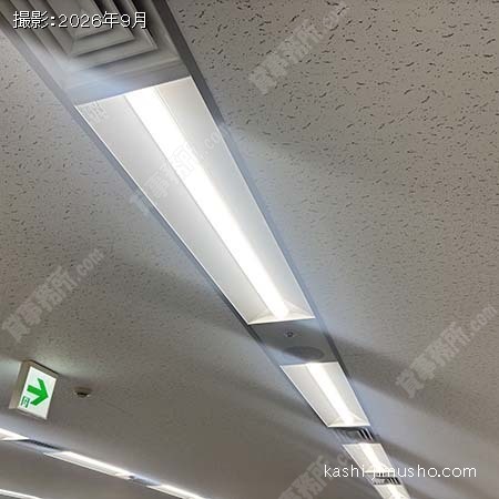 照明