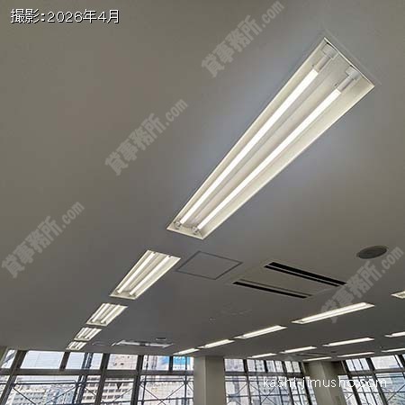 照明