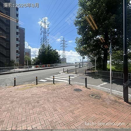 前面道路(いちょう通り) 前面道路(いちょう通り)