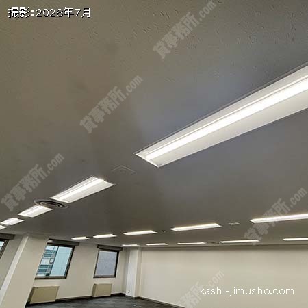 照明 照明