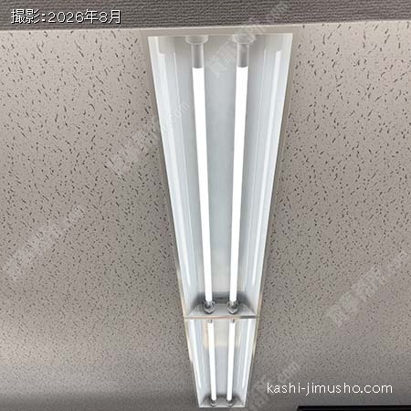 照明 照明