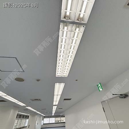 照明