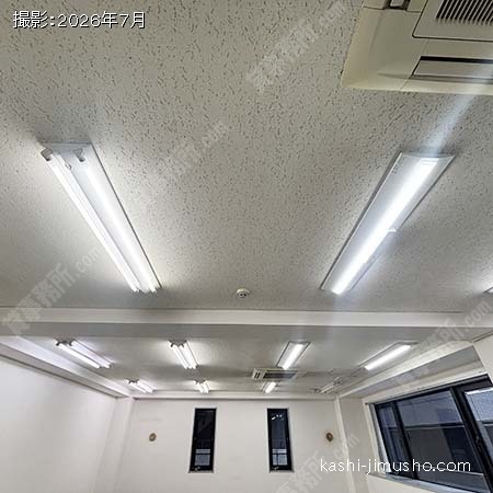照明 照明