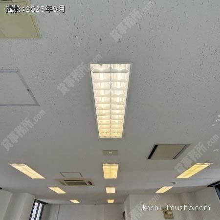 照明