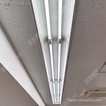 照明