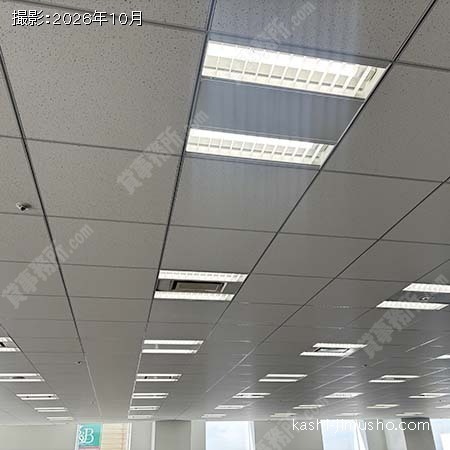 グリッド天井 グリッド天井