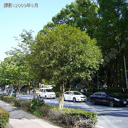 ビル前は緑の多い公園です