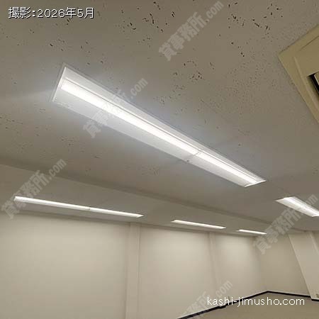 照明 照明