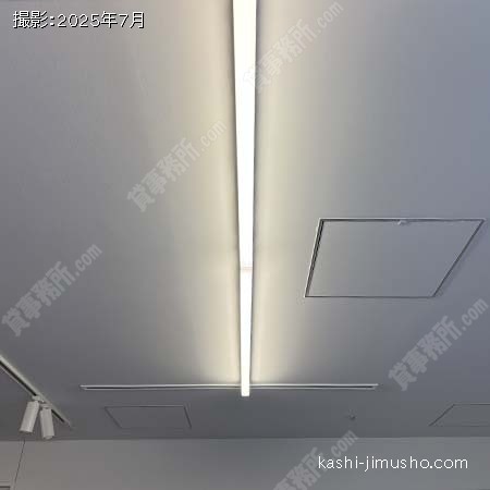 LED照明