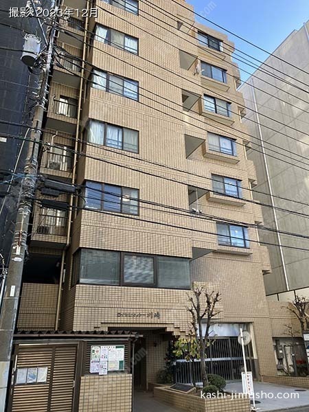 ロイヤルシャトー川崎の外観